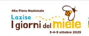 lazise premio 2025